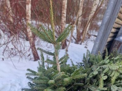 Foto: Stadtverwaltung Flöha/ Bauamt