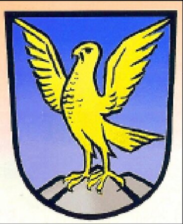 Darstellung des Ortswappens von Falkenau.