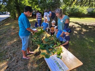 Interessante Naturerkundung zum Anfassen. Foto: Heimatverein Falkenau