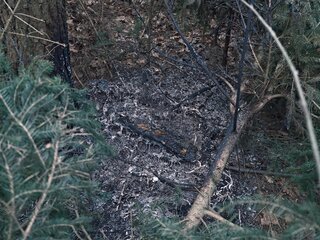 Der erste Brand führte die Kameraden in ein Waldstück an der Straße "Der Mühlweg". Foto: Stadtverwaltung Flöha/ Erik Frank Hoffmann